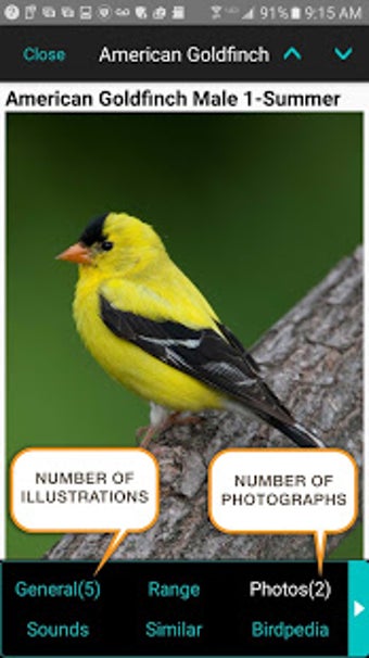 Imagen 0 para iBird Yard Plus Guide to …