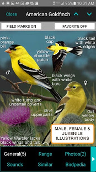 Imagen 2 para iBird Yard Plus Guide to …