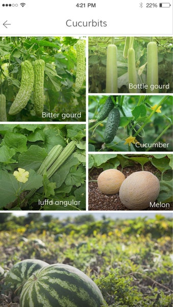 Image 1 for CropWiki EWS