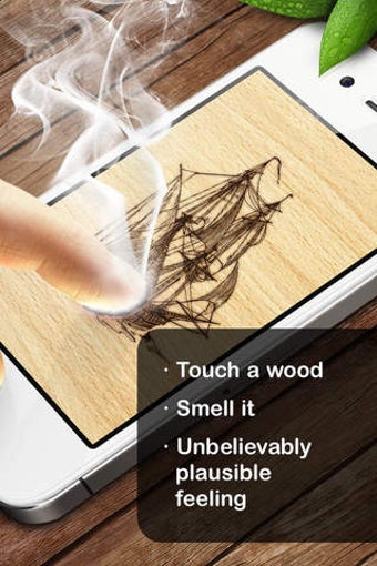 Image 0 for Pyrography - burning a de…