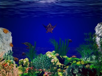 Image 0 for 3D Sea Turtle Paradise