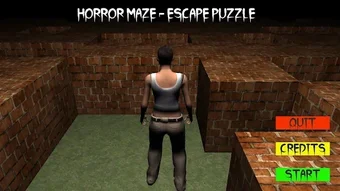 Image 0 for Horror Maze - Escape Puzz…