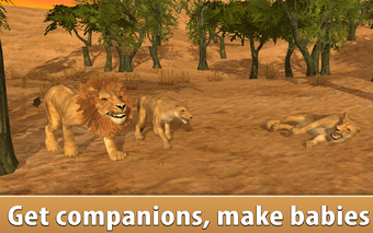 Imagen 2 para Wild African Lion Simulat…