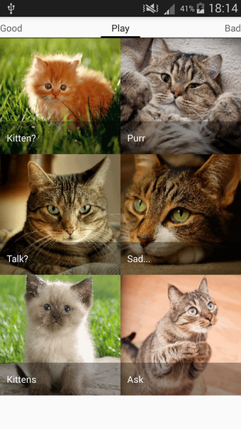 Imagen 1 para Cats sounds - evil angry …