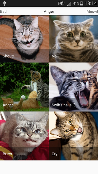 Imagen 2 para Cats sounds - evil angry …
