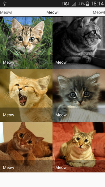 Image 1 for Cats sounds - evil angry …