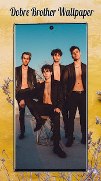 Image 3 for Dobre Brothers Wallpaper …