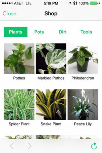 Image 0 for Waterbug Plant Care Guide