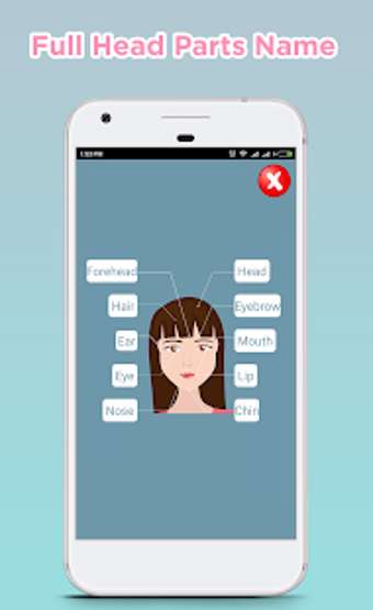 Image 0 for Human Body Parts Name