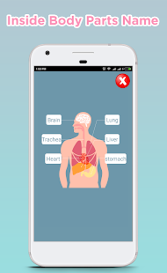 Imagen 2 para Human Body Parts Name