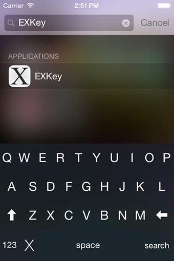 Image 0 for EXKey