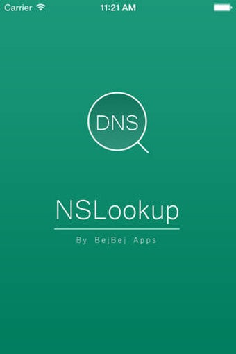 Imagen 0 para NSLookup