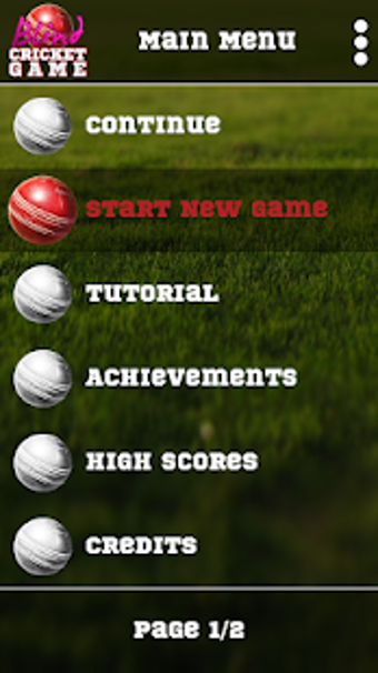 Image 1 for Blind Cricket