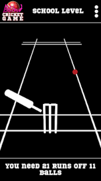 Image 2 for Blind Cricket