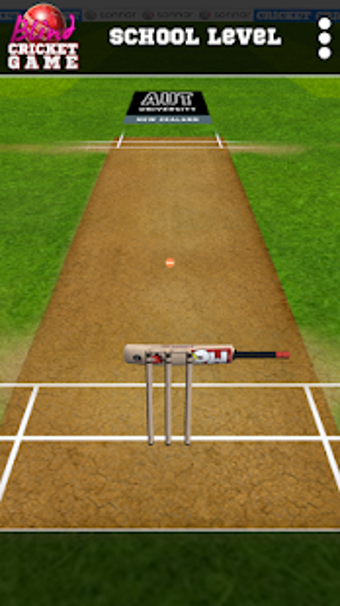 Image 3 for Blind Cricket