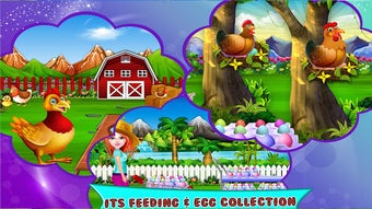 Imagen 2 para Chicken Poultry Farm bree…