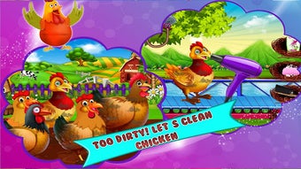 Imagen 0 para Chicken Poultry Farm bree…