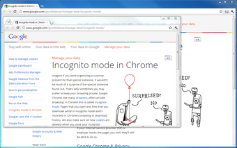 Imagen 1 para Incognito This!