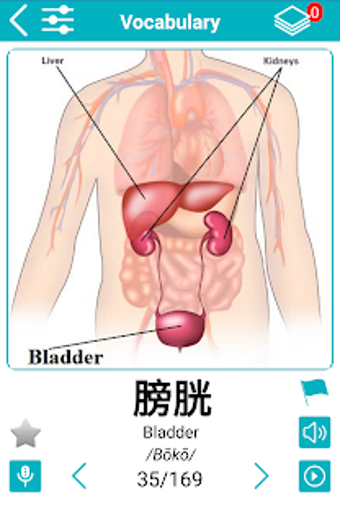 Image 2 for Japanese 5000 Words with …
