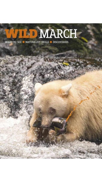 Image 1 for BBC Wildlife Magazine