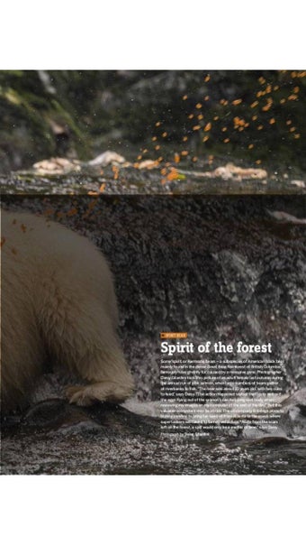 Image 0 for BBC Wildlife Magazine