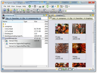 Image 2 for Risingware File Manager