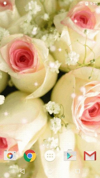 Imagen 0 para White Rose Live Wallpaper…