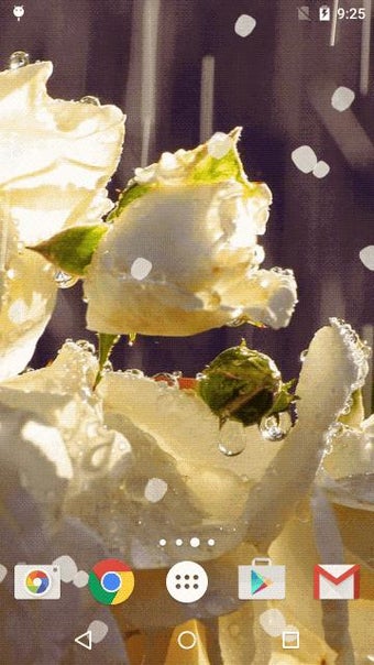 Imagen 2 para White Rose Live Wallpaper…