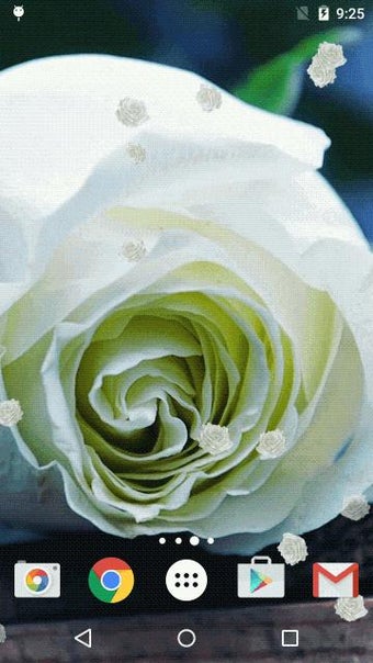 Imagen 3 para White Rose Live Wallpaper…