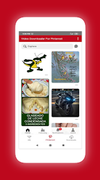 Image 0 for Video Downloader For Pint…