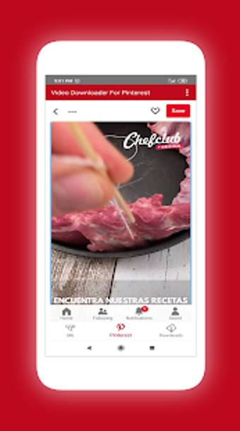 Image 3 for Video Downloader For Pint…