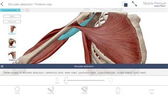 Image 1 for Muscle Premium: 3D Visual…