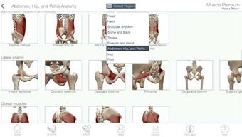 Imagen 2 para Muscle Premium: 3D Visual…