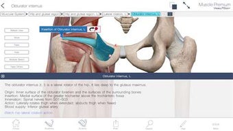 Imagen 1 para Muscle Premium: 3D Visual…