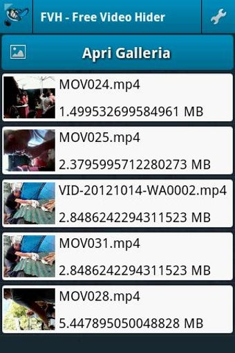 Imagen 2 para FVH - Free Video Hider