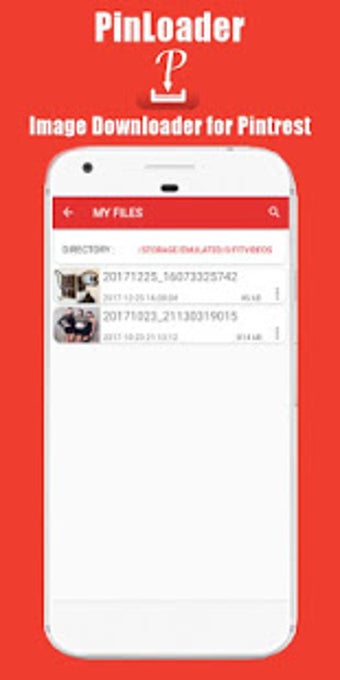 Image 2 for Pinloader Image Downloade…