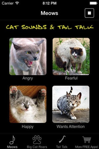 Image 0 for Cat Sounds & Tail Talk - …