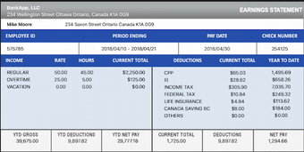 Image 2 for Canada Paystub Payslip