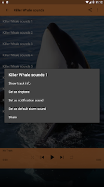 Image 2 for Killer Whale sounds