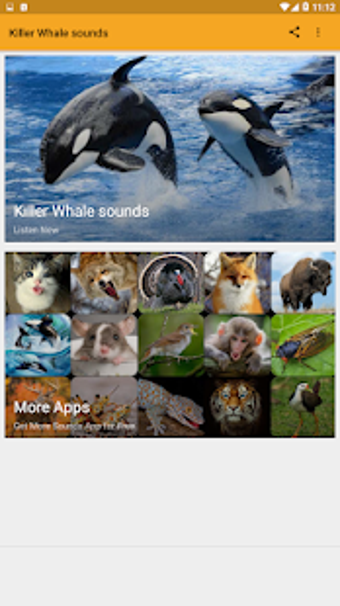 Image 1 for Killer Whale sounds