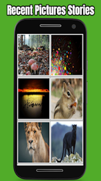Imagen 1 para Status Downloader Free fo…