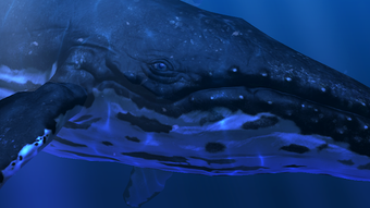 Imagen 2 para Ocean Rift