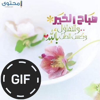 Imagen 0 para صور صباح الخير و مساء الخ…