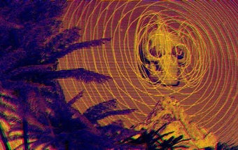 Image 10 for Island Fantasy 3D Music V…