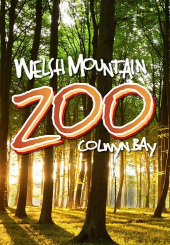 Image 0 for Welsh Mountain Zoo Guide
