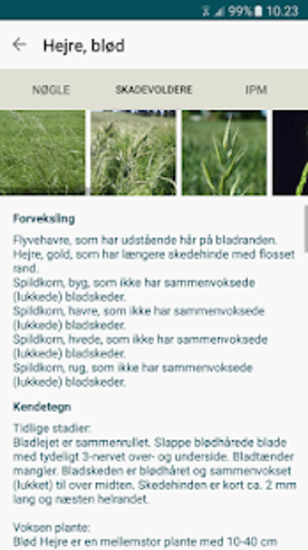 Image 0 for IPM Tjek