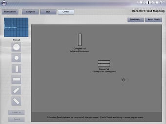 Imagen 2 para iNSIGHT Receptive Field M…