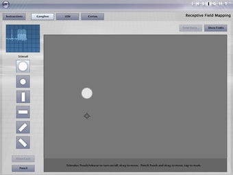 Imagen 0 para iNSIGHT Receptive Field M…