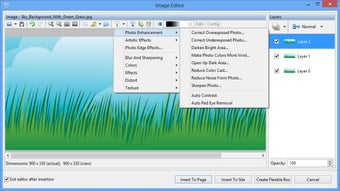 Image 6 for Website Realizer