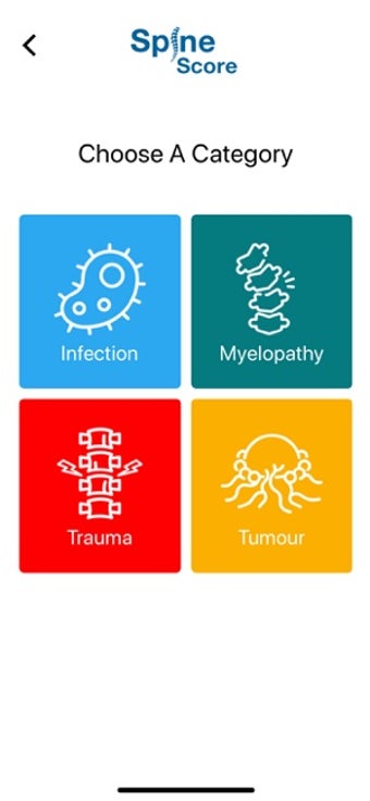 Image 3 for Spine Score